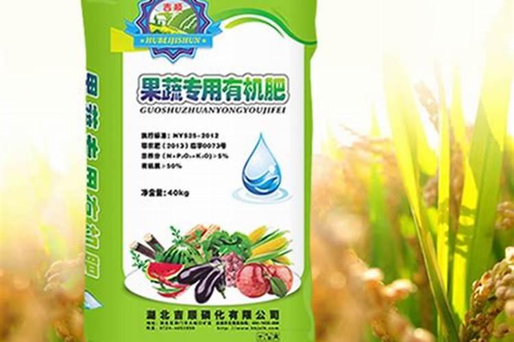 金钱树用什么肥料最好最旺盛