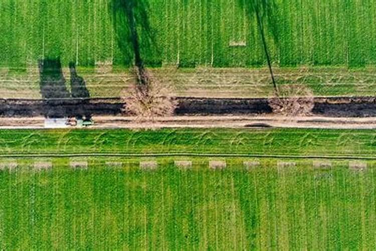 黄腐酸钾用得好能减少“2成”化肥量,矿源黄腐酸钾的作用于方法