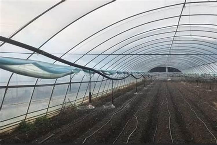 水溶肥浇地的方法