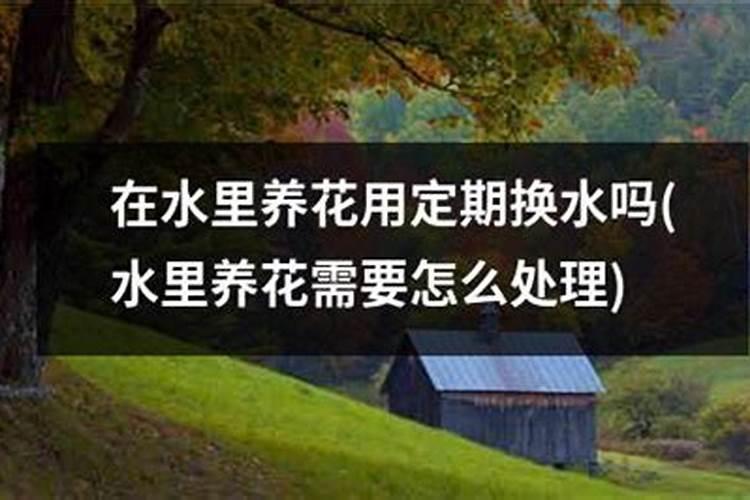 秋季养花少不了磷酸二氢钾,正确方法是重点,用不对等于“白”用