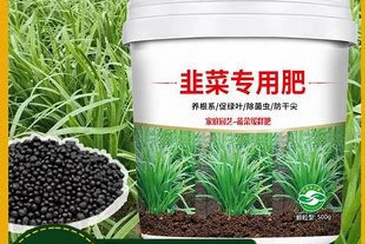 韭菜追肥用什么肥料好
