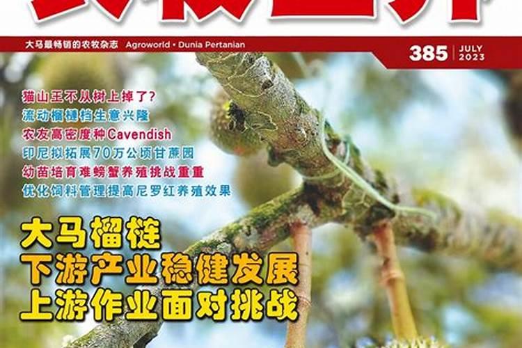玉米底肥用红颗粒钾肥好还是用白色小颗粒水溶钾肥好？
