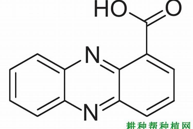 锌肥每亩玉米施肥多少
