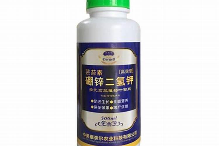 甜瓜烂根病怎么治见效？甜瓜为什么会出现烂根病？