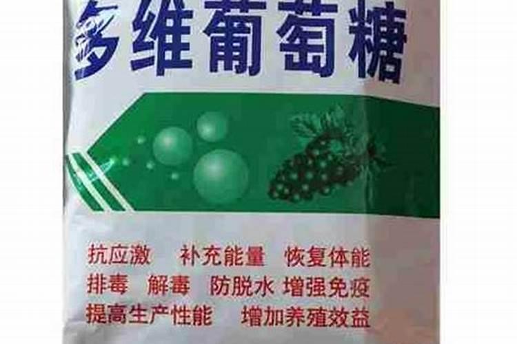 怎样给牛羊正确使用葡萄糖粉 起到什么作用