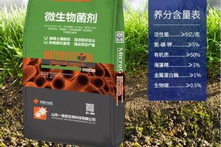 海藻精的正确使用方法