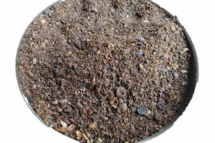 牡丹施肥用什么肥料