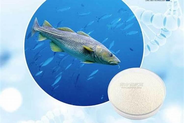 噻虫胺用法用量用途