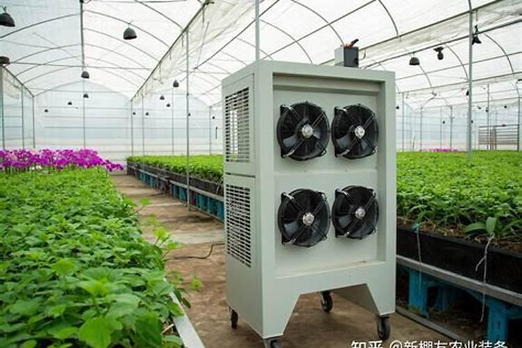 流体硼肥根施的用量