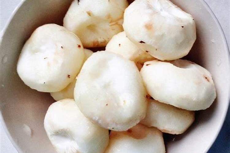 马蹄下带肥什么时间撒最合适