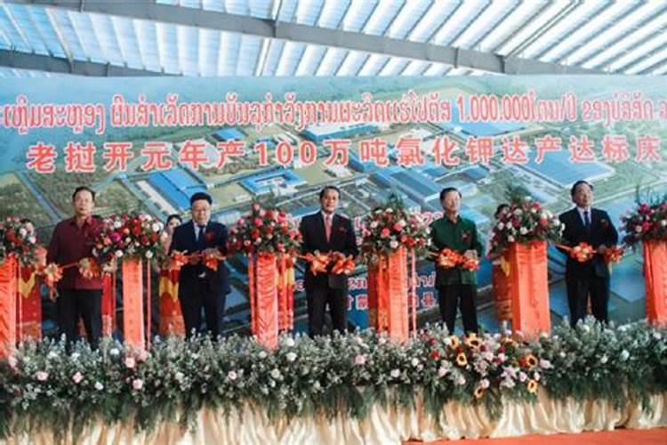 拥有钾盐的上市公司有哪些