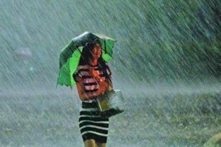 大姜雨后可以冲水溶肥吗