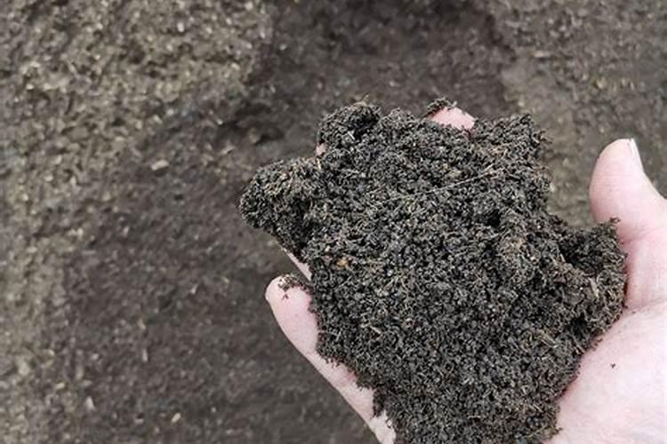 什么叫腐熟有机肥