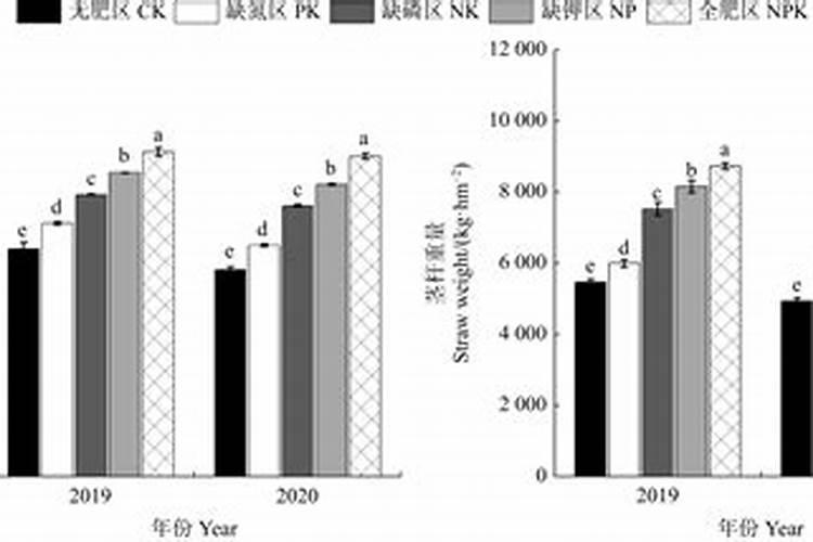 (此病治好红包500)各位农业、园林方面的专家教授们,特此请教,黄金叶叶 ...