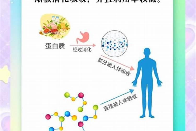 海藻颗粒是什么植物