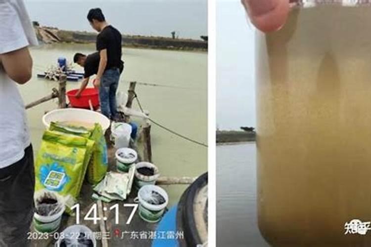 鱼旦白一生植物用几次？