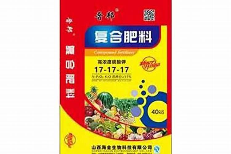 杨树107品种的种植方法