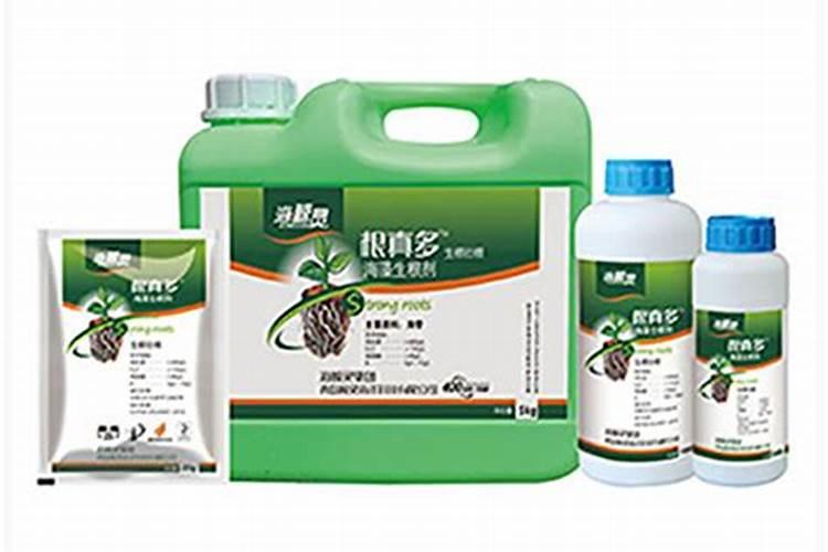 西红柿苗期用什么生根剂好