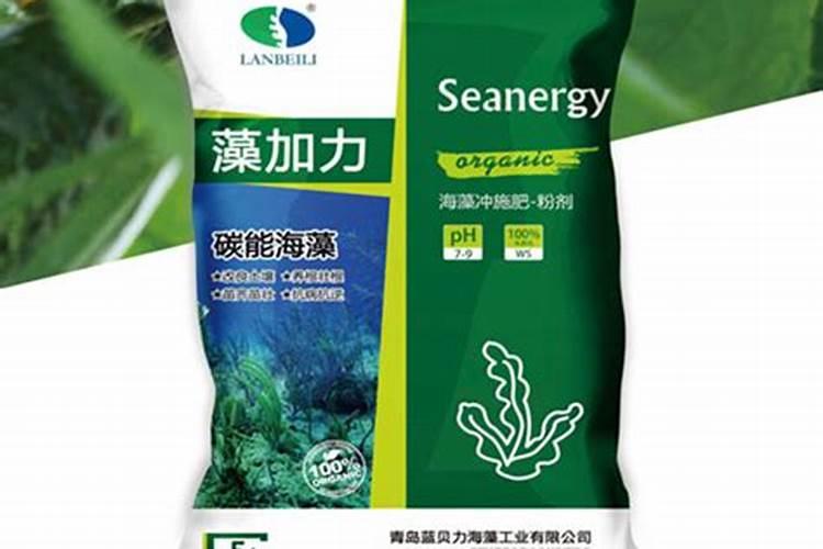 揭秘:海藻有机肥到底好不好？