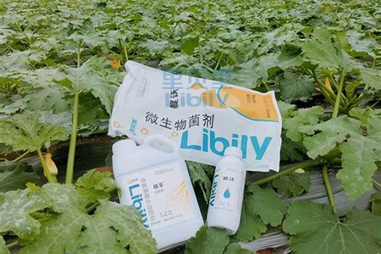 磷肥包括那些肥料 又称普通过磷酸钙