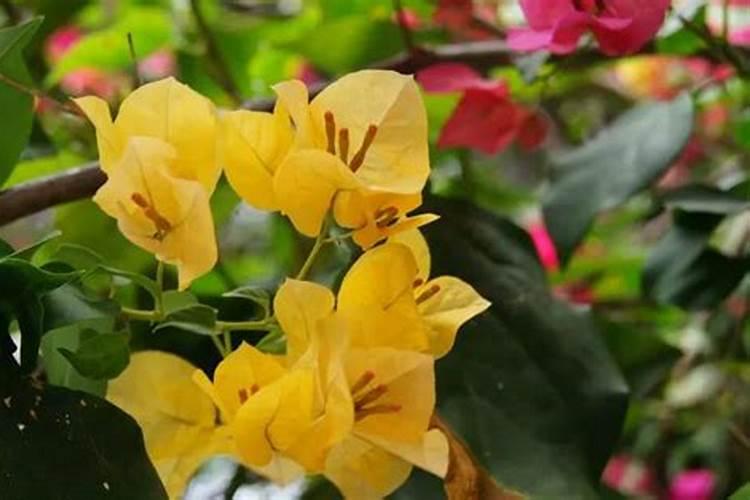 湖南人文科技学院宿舍几人间就业好不好？学费一年多少？