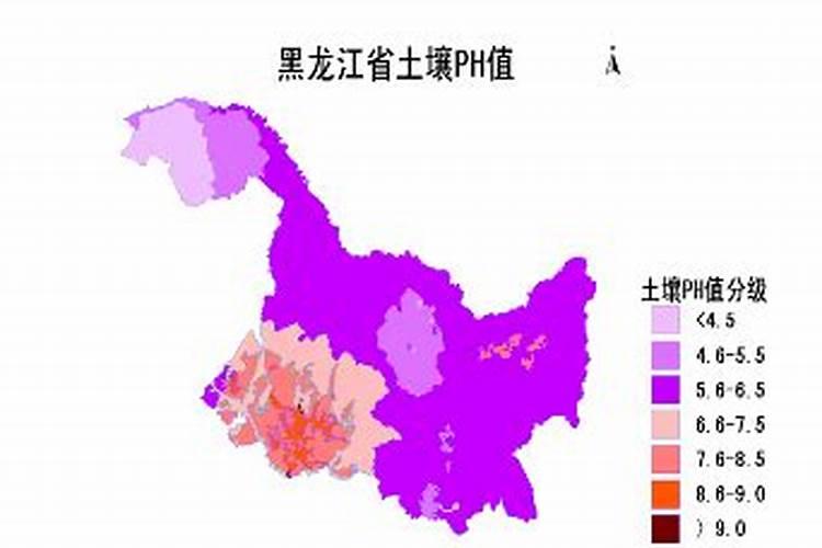 平原县释乐补掺混肥怎么样