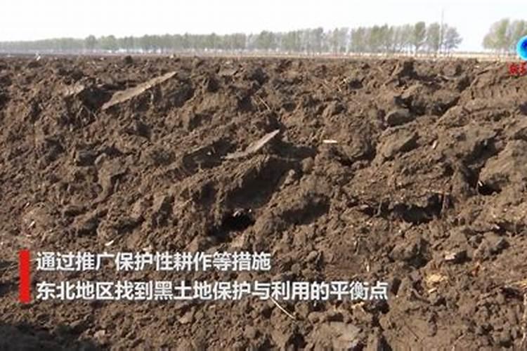 百慕大草坪五月份能用化肥吗