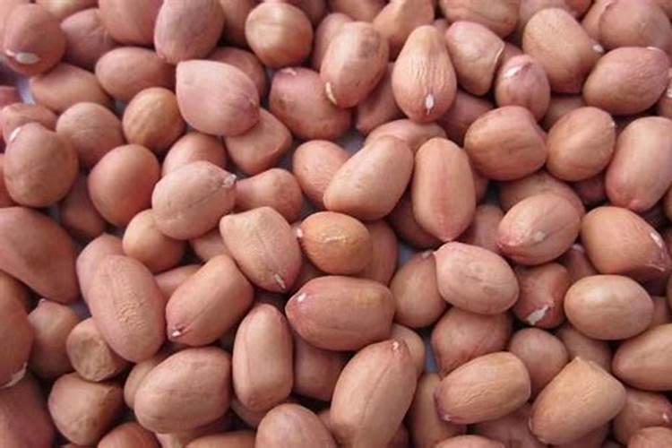 生花生砸碎和土搅在一起沤一段时间可以做花肥吗