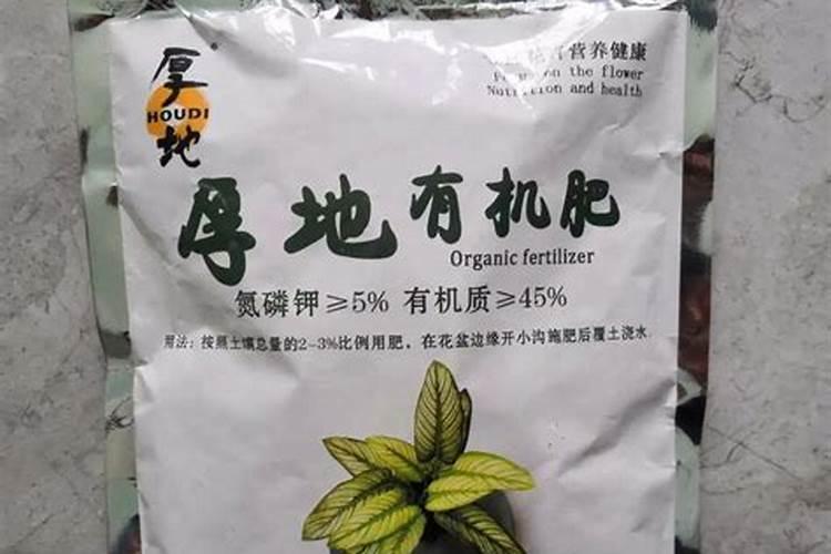 君子兰施肥用什么肥料长得好