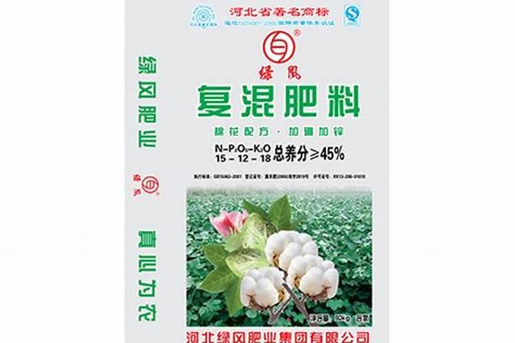 新鲜当归叶子怎么吃法