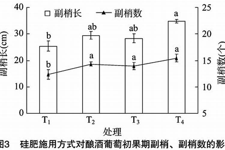 杨梅树施什么肥好,怎么施？