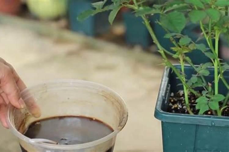 V20的纯天然植物饮品有什么作用？