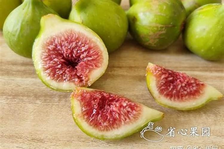 无花果施什么肥好