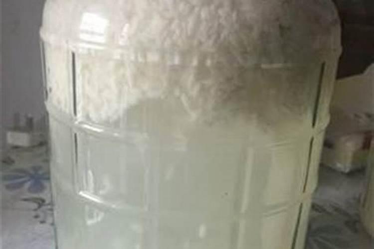 苹果生长后期一定要施钾肥