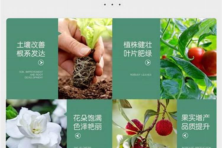 种菜用什么复合肥比较好