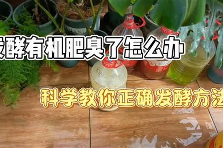 有机肥里生蛆是什么原因造成的