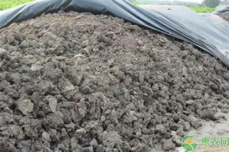 福州绿色超大微生物有机肥有限公司怎么样？