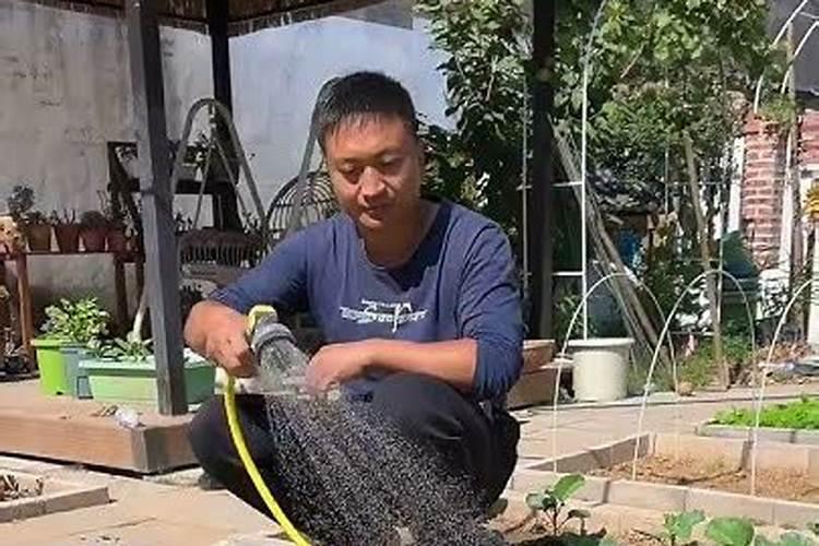 大量元素水溶肥使用方法