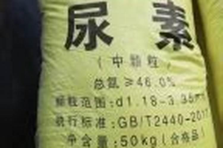 氮肥养花一克用多少水兑