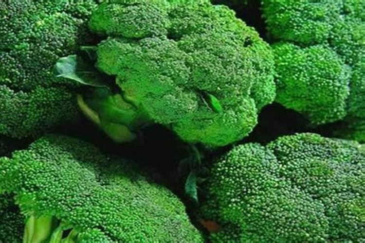 海藻面膜的十大功效