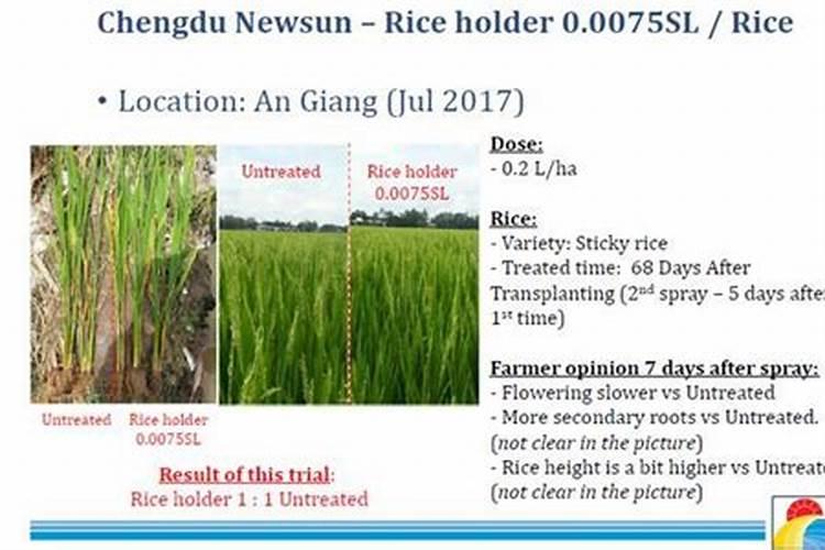 芸苔素内酯可以滴灌冲施吗一亩地冲是多少？