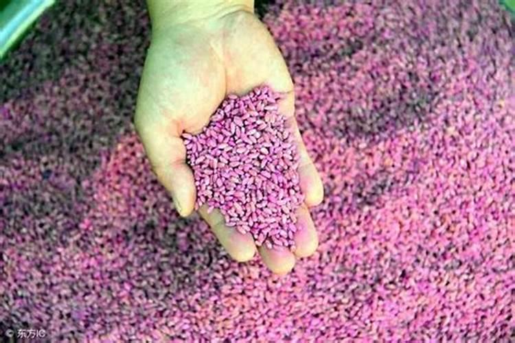 田秀丰叶面肥怎么样