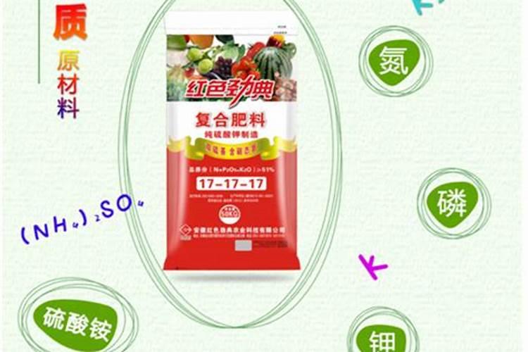 大棚芸豆什么时候浇水好