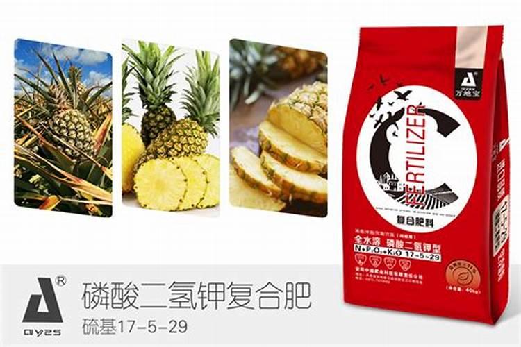 矿源黄腐酸钾加泡叶藻肥加腐植酸加芸苔素能混用吗