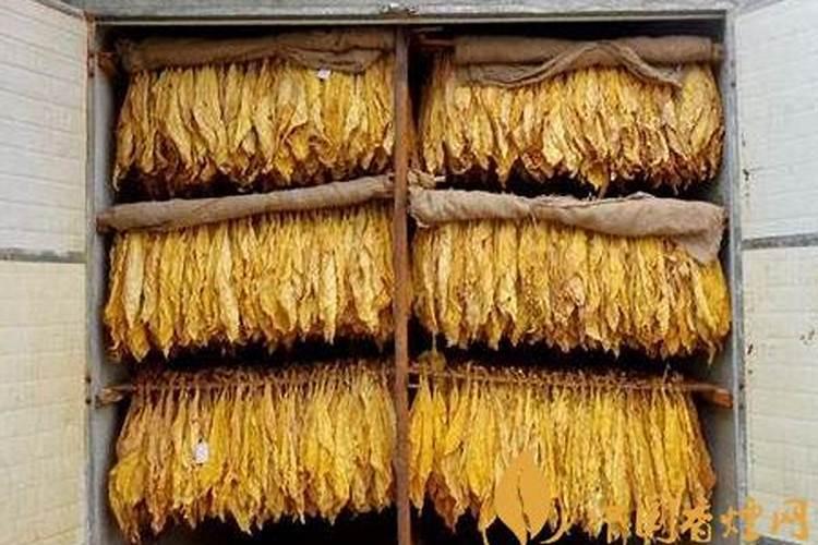 种小麦用什么复合肥好什么牌子的