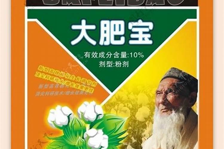 兰花营养液浇根时要不要先浇一道水