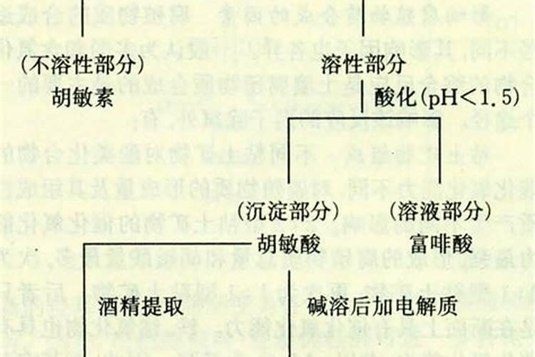 胡敏酸是什么东西