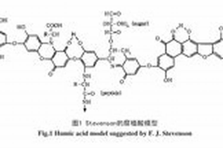 腐植酸是什么成份？主要作用是什么？