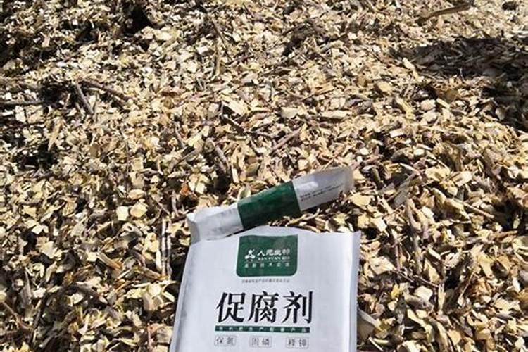 煮熟的豆子能做花肥吗 煮熟的豆子还能做肥料吗