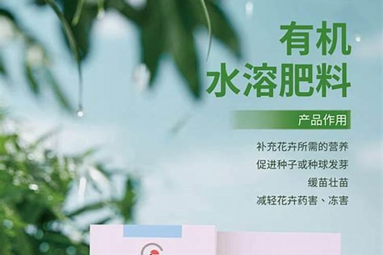 “罗布泊”品牌如何实现产品创新和市场适应性？